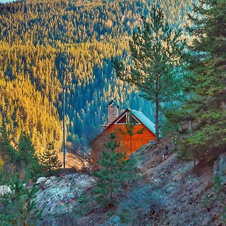 Cozy Cottage Feel Free Continental Didi Ateni Exterior photo