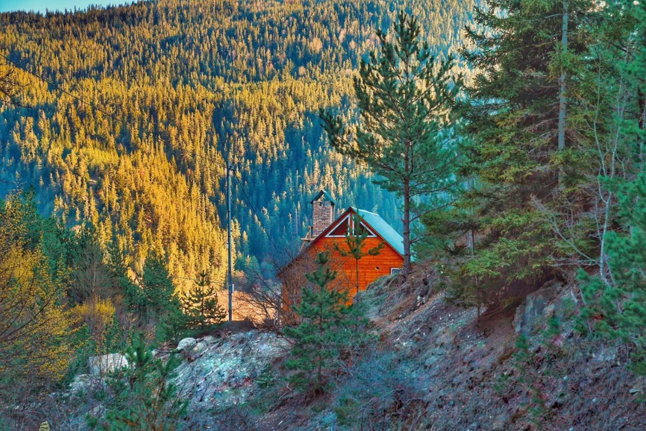 Cozy Cottage Feel Free Continental Didi Ateni Exterior photo