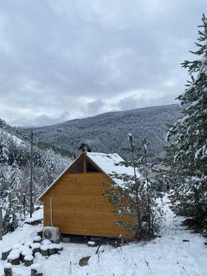 Cozy Cottage Feel Free Continental Didi Ateni Exterior photo