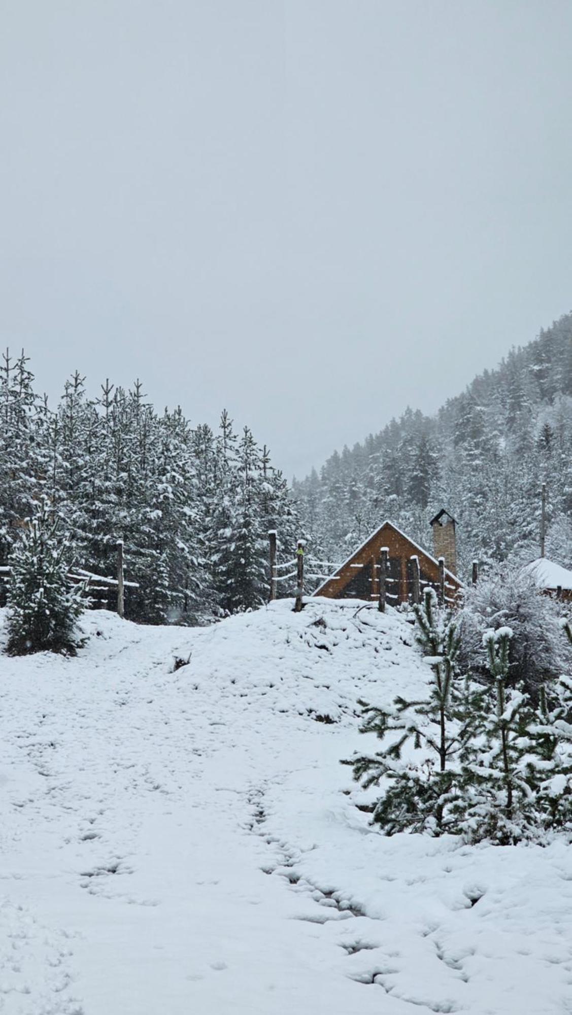 Cozy Cottage Feel Free Continental Didi Ateni Exterior photo
